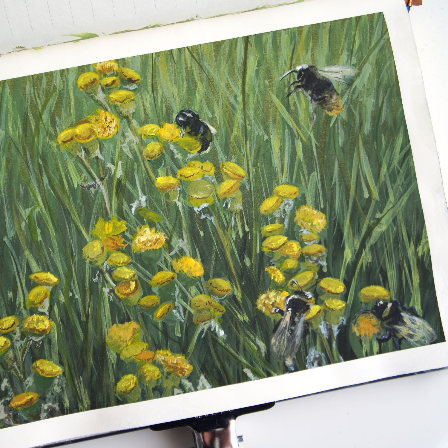 gouache_1e_web